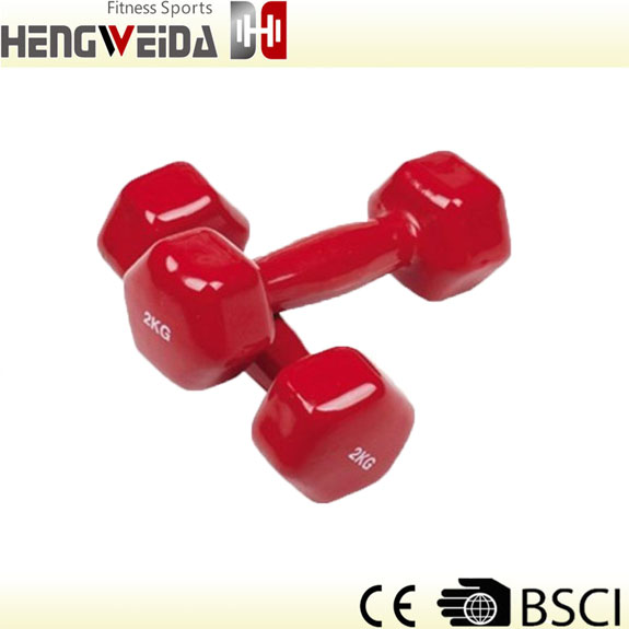 HWD2301-Vinyl Dipping Dumbbell